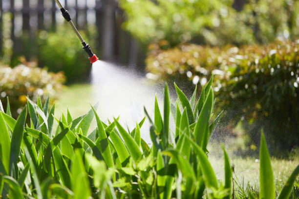 24/7 Emergency Mosquito Control experts in Carthage, MO